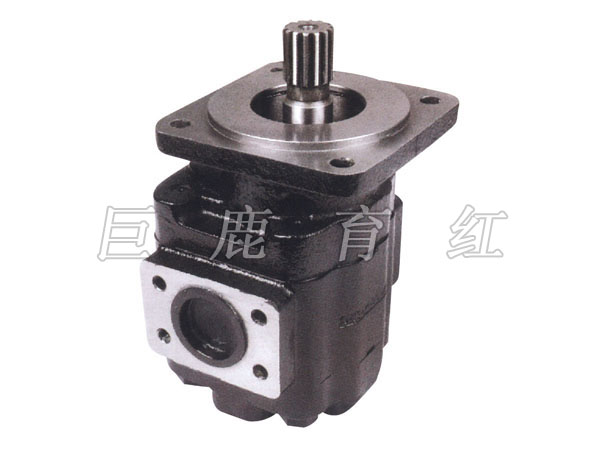 TR50 Hydraulic pump 09253503/20011793 TR50 Hydraulic pump 09253503/20011793