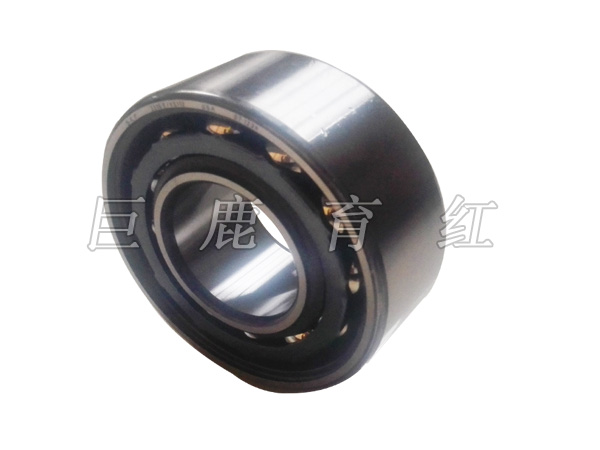 TR100 Bearing 23047994